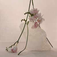 Nude Musk  120ml-200626 Nude Musk  120ml-200626 3